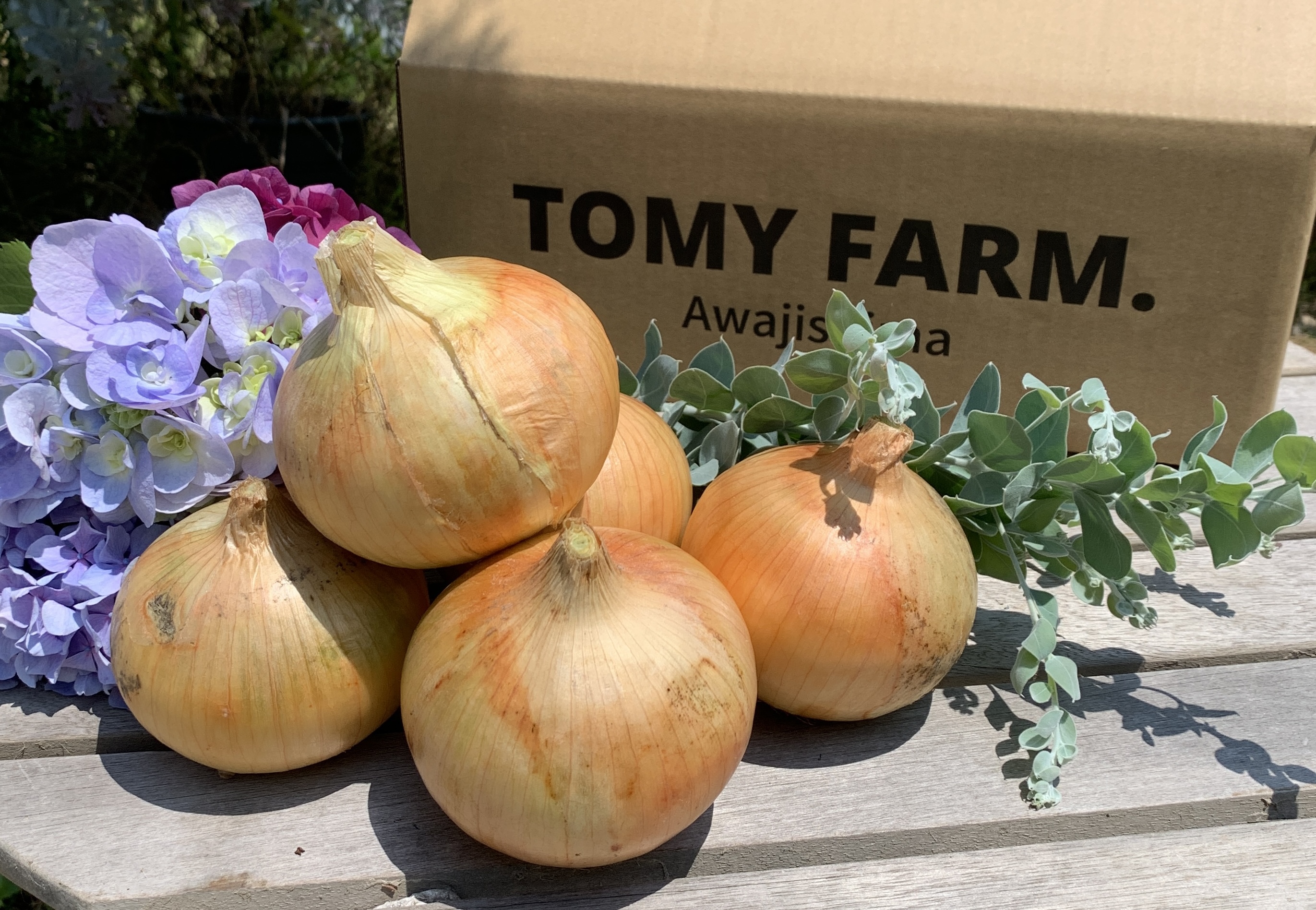 99 以上節約 訳あり玉ねぎkg 徳島県産 Www Anavara Com