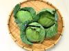 農薬不使用（無農薬）栽培　平キャベツ