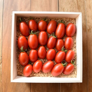 ⭐︎贈答用(桐箱)⭐︎ 栽培期間中農薬、化学肥料不使用ミニトマト