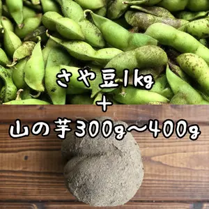 今が旬☆丹波篠山特産品セット 本黒枝豆 さや1kg＋山の芋300～400g
