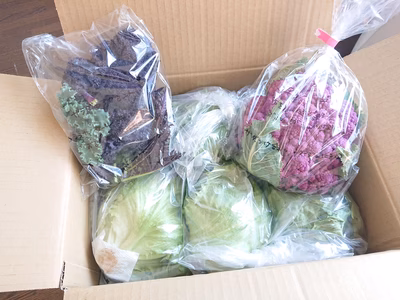 みんなの投稿の画像