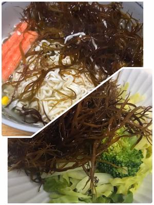 みんなの投稿の画像