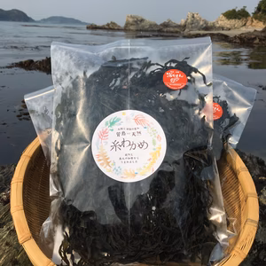 海女もん 菅島 天然 糸わかめ