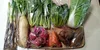 【10日分の野菜！】旬の野菜セット９～１１品【農薬・化学肥料不使用】