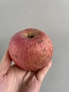サンふじ【蜜入りりんご】　訳あり　大玉5キロ