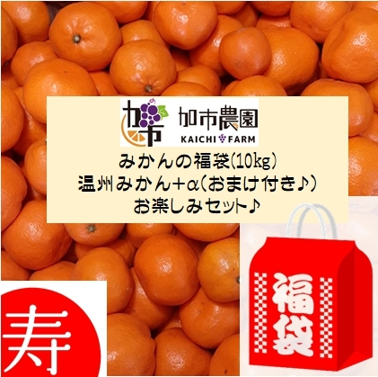 【2021福袋】新春 味自慢みかん★収穫祭‼【10㎏箱】