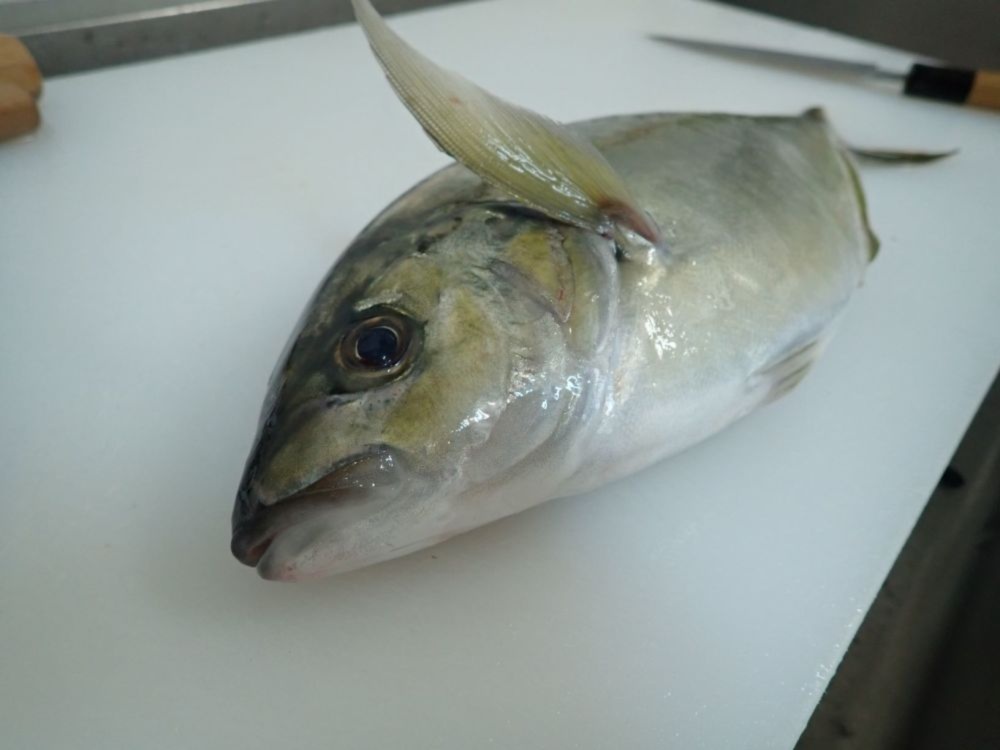 お家時間 高級魚シマアジ1尾丸ごと えら はらわた除去済み 真空パック 農家漁師から産地直送の通販 ポケットマルシェ