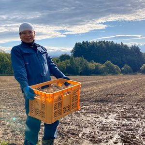 【北海道上富良野産】ほくほく美味しい♪ 新じゃがいも キタアカリ 松本農園