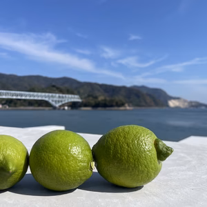 今だけの限定品　広島グリーンレモン