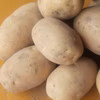農園おまかせ新じゃがセット【3-4品種入り】 