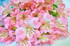 アルストロメリアの花束　15本