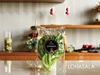 菌数管理野菜　LOHASALAフリルレタスセット　(6個入/合計600g個包装)