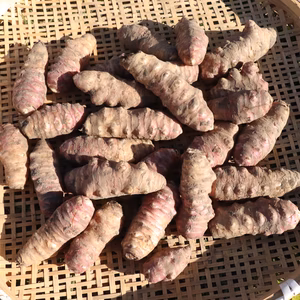 農薬肥料不使用・紫菊芋2kg