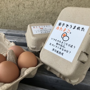 【赤たまご6個紙パック×12個のお裾分けセット】枯草菌育ちの赤たまご72個