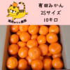 愛情たっぷりで育った有田みかん★温州みかん　寄贈用　2Sサイズ　約10キロ