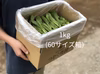 ほろ苦い春限定の味 [信州産] 野沢菜の菜花を箱いっぱい！