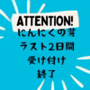 無臭ジャンボニンニクの芽大成長‼️即配送開始致します。