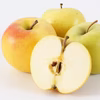 甘い！ジューシー！香り良し黄りんご「トキ」低農薬 皮ごとパリパリ 訳ありご家庭用