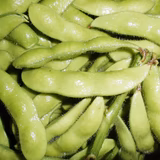 遠藤佐和子 | 遠藤ファームAt