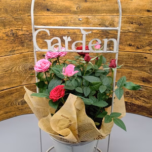 早割価格‼【母の日 発送4/27-5/8】ガーデンバスケット