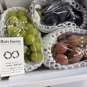 昔ながらの栄養周期栽培の葡萄セット☆種あり巨峰☆シャインマスカット☆季節の葡萄☆