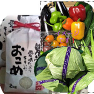 【季節限定】令和2年産ひとめぼれ精米2ｋｇと季節の野菜（秋冬バージョン）セット