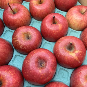 【青森県産】家庭用サンふじりんご5キロ箱に18～20個入り