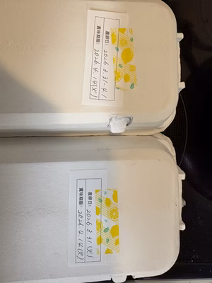 みんなの投稿の画像