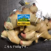 【生姜好きさん集まれ〜！】香りよし！旬の味！新生姜！