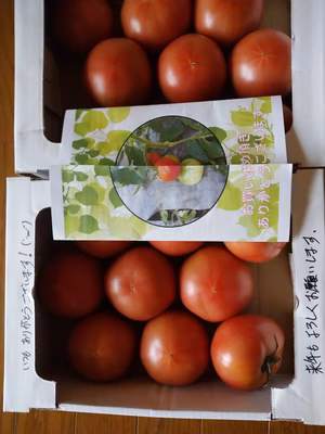 みんなの投稿の画像