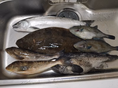 みんなの投稿の画像