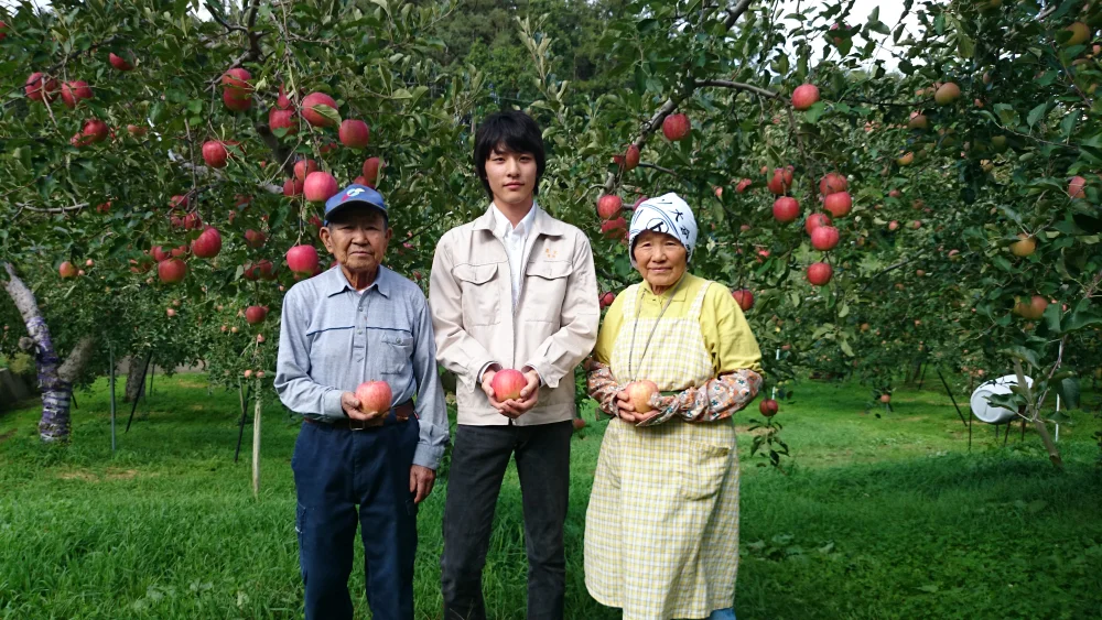 サンふじ 10㎏  家庭用(訳あり) こだわりの樹上完熟 農家直送りんご
