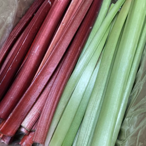信州産 フレッシュ ルバーブ クリムゾン＆グリーン　/箱込み2キロ