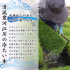 【送料無料】令和6年産 山形県産はえぬき・つや姫玄米セット 9kg 石抜き処理済