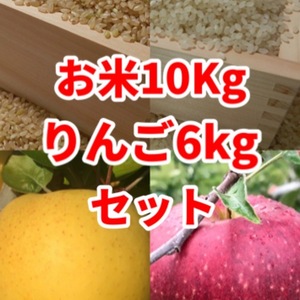 【選べるりんご6kg】と【あきたこまち10Kg】 岩手県二戸市