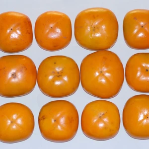 【訳あり】種なし柿Ｍ～2Ｌサイズ混合4kg