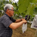 筌口芳人 | よっちゃん農園