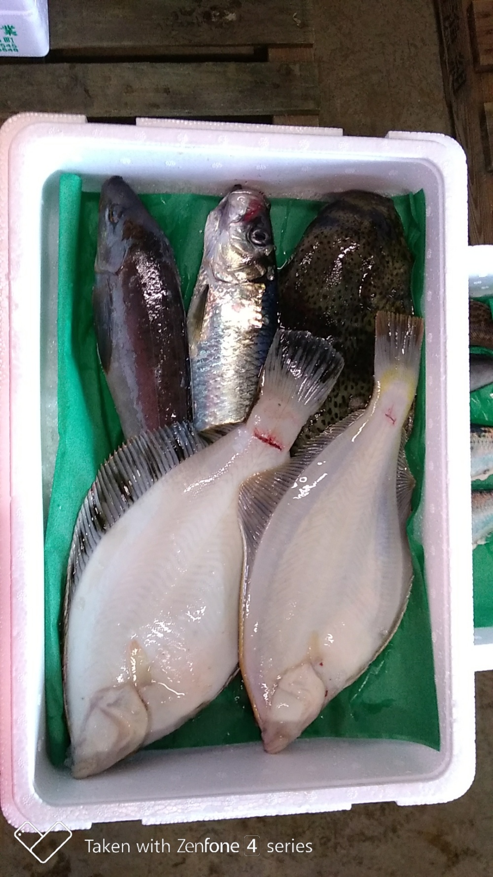 匠の活〆 ヒラメ入り魚詰め合わせセット 農家漁師から産地直送の通販 ポケットマルシェ
