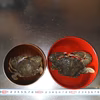生出荷！カニ汁用！石蟹小サイズ２kg～8kg イシガニ（ワタリガニ科)