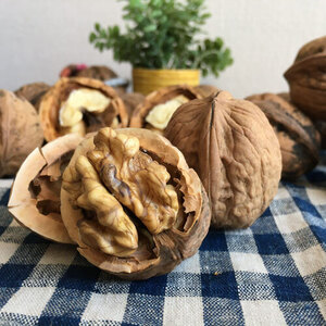 長野県産 くるみ 殻付き 500g およそ30～40個 減農薬 お菓子や料理に！