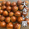 【数量限定】今しか食べられない✨雪国育ちの青森県産つやつや和栗サイズ混合