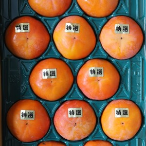 大の果物好きが作るこだわりの柿【特選】樹上完熟富有柿4kg箱
