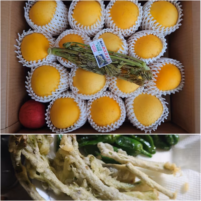 みんなの投稿の画像