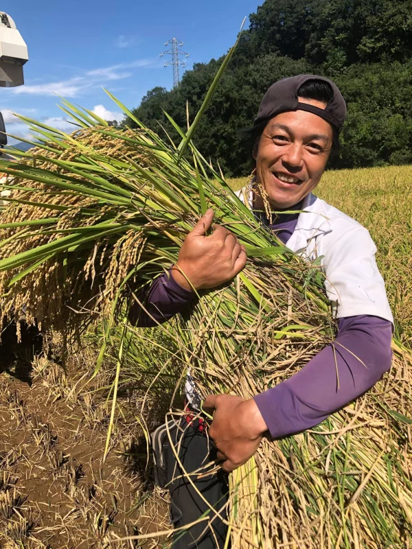 玄米》 信州産 特別栽培米『縁結び』大粒の品種です！令和5年産｜米