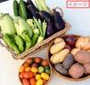 夏野菜セット 5000