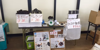 きくらげの佃煮、トライアル中！