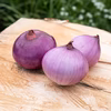 無農薬・無化学肥料で育てた赤玉ねぎ（大〜小サイズミックス）