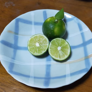 無農薬有機肥料のすだち