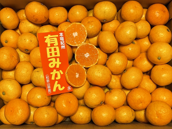 【訳あり】和歌山県産有田みかん ちびたま3S以下サイズ(約5kg)