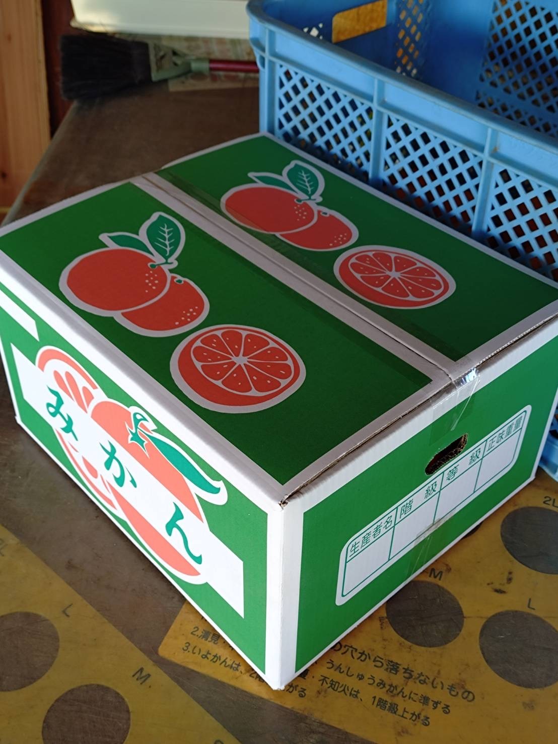 農薬・化学肥料不使用】神奈川産 大津みかん 10kg (訳あり)｜みかんの